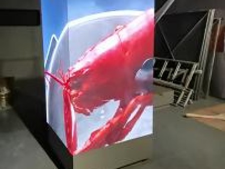 樂東東西湖P2.0安裝完畢   尺寸：0.96x1.6x3   像素點(diǎn)：1440x800