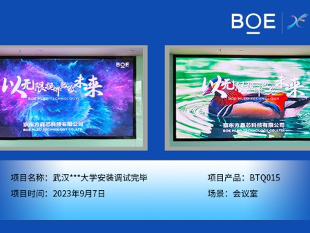 通遼武漢***大學(xué)會(huì)議室BTQ015安裝調(diào)試完畢