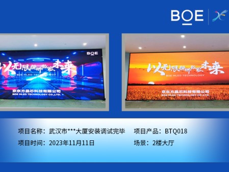 通遼武漢市***大廈2樓大廳BTQ018安裝調(diào)試完畢