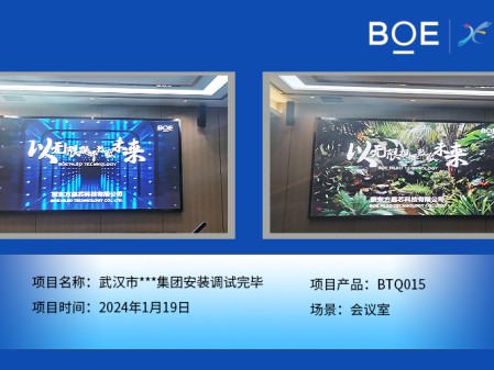 通遼武漢市**集團(tuán)會(huì)議室BTQ015安裝調(diào)試完畢