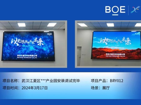 通遼武漢江夏區(qū)**產(chǎn)業(yè)園展廳BRY012安裝調(diào)試完畢