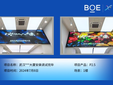 天水武漢***大廈安裝調(diào)試完畢