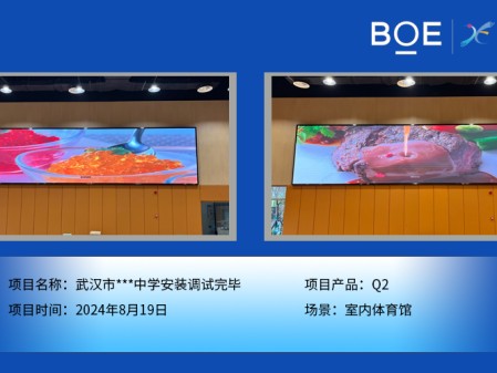 紅河武漢市***中學(xué)安裝調(diào)試完畢