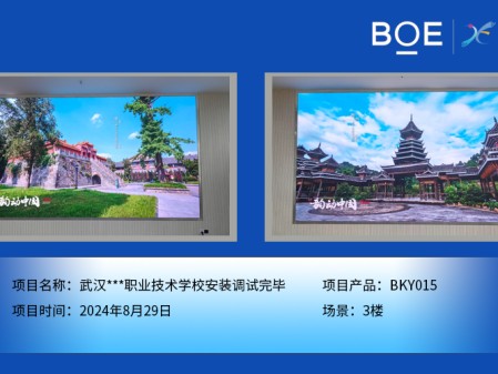紅河武漢***職業(yè)技術(shù)學(xué)校安裝調(diào)試完畢