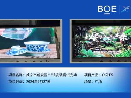 樂東咸寧市咸安區(qū)***鎮(zhèn)安裝調(diào)試完畢