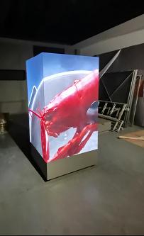 樂東東西湖P2.0安裝完畢   尺寸：0.96x1.6x3   像素點：1440x800