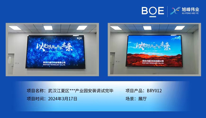 通遼武漢江夏區(qū)**產(chǎn)業(yè)園展廳BRY012安裝調(diào)試完畢