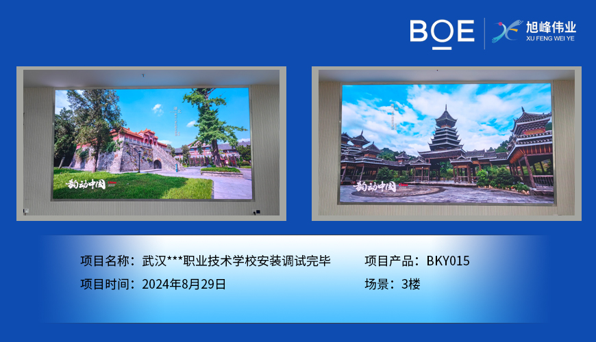 樂東武漢***職業(yè)技術學校安裝調(diào)試完畢