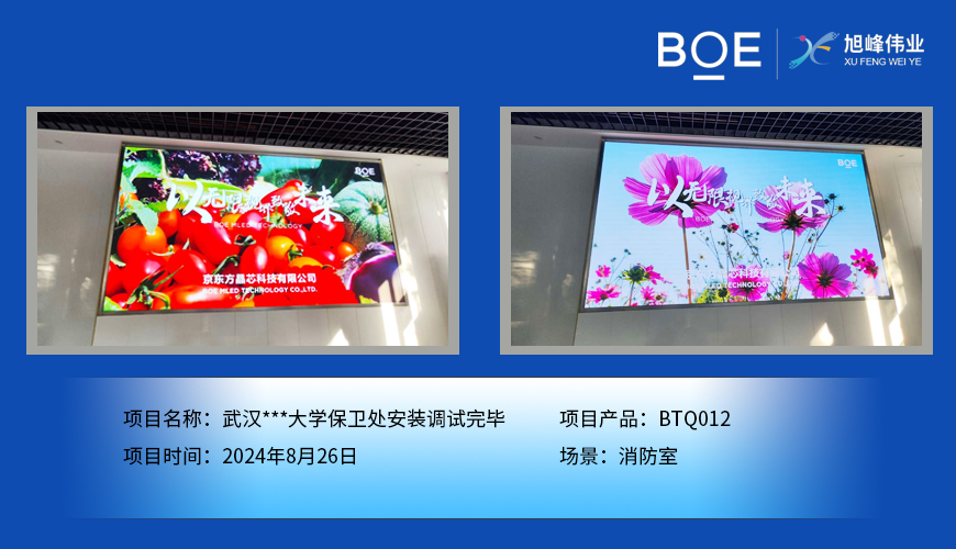 紅河武漢***大學(xué)保衛(wèi)處安裝調(diào)試完畢